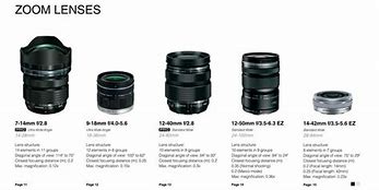 Image result for Zoom Lens Pic