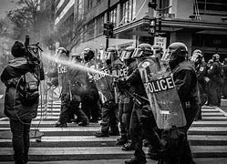 Image result for Photography of Protest Birds Eye