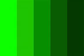 Image result for Bright Dark Green Color