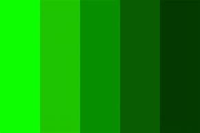 Image result for Light and Dark Green