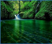 Image result for PC Screensavers Free Download