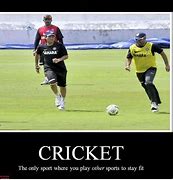 Image result for Cricket Humor