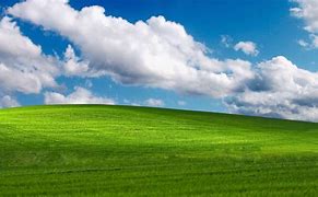 Image result for Windows XP Default Wallpaper