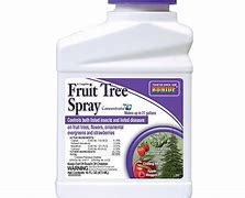 Image result for Best Insect Spray for Apple Trees
