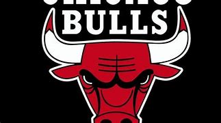 Image result for NBA Bulls #23 Scream