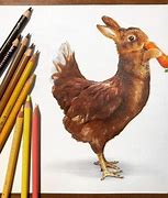 Image result for Animal Mashups Drawings