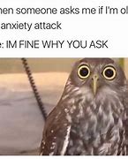 Image result for Memes to Calm Anxiety