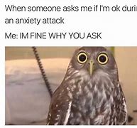 Image result for Funny Chronic Anxiety Memes