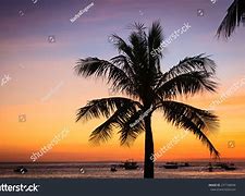 Image result for Sun Palm Trees Beach Silhouette