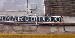 Image result for amarguillo