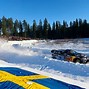 Image result for Rally Sweden