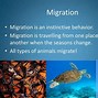 Image result for What Is a Animal Adaptations