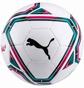 Image result for puma team final 21.6