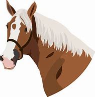 Image result for Arabian Horse Head Clip Art