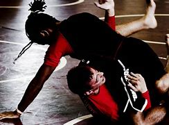 Image result for Brazilian Jiu-Jitsu No GI