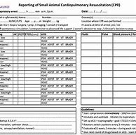 Image result for Nursing Home CPR Flow Sheet
