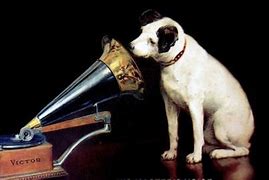 Image result for RCA Puppy