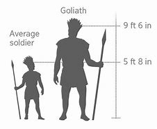 Image result for Goliath Height in Feet