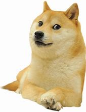 Image result for New Doge Meme