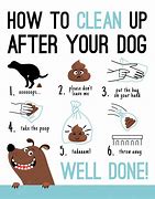 Image result for Clean Up Dog Poop Meme