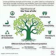 Image result for Tree of Life Meaning Christian