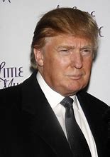 Image result for Trump's Hair