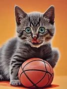 Image result for Cat Playing Basketball