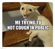 Image result for Try Not to Cough Meme