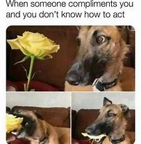 Image result for Man Smells Flower Meme
