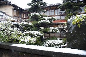 Image result for Japan Winter