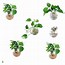 Image result for Wall Planter