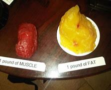 Image result for One Pound of Fat vs Muscle