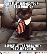 Image result for Professional Cat Meme