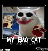 Image result for Funny Emo Cats