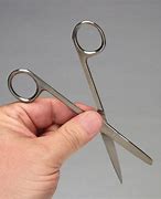 Image result for Blunt Surgical Scissors