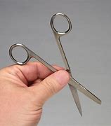 Image result for Blunt Scissors