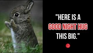 Image result for Wholesome Goodnight Memes