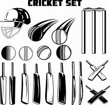 Image result for SM Cricket Bat