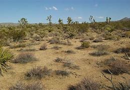 Image result for Arizona Desert Landscape with Moving Boxes