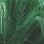 Image result for Green and White Background Aesthetic