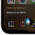 Image result for Apple Battery Percentage
