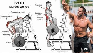 Image result for Rack Pull Exercise