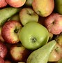 Image result for Harvesting Apple Trees