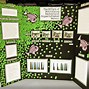 Image result for Science Fair Project Display