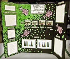 Image result for Science Fair Project Display Board Ideas