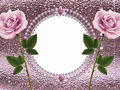 Image result for Transparent Pink Frane Rosses