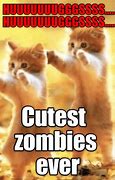 Image result for Zombie Cat Meme
