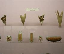Image result for Objects of Long Ago in Gauteng