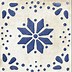 Image result for Moroccan Floor Tiles