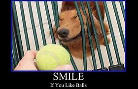Image result for Funny Things That Make You Laugh